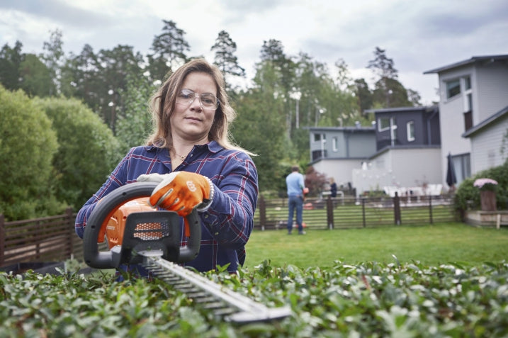 How to trim an overgrown hedge without killing it