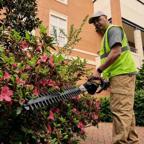 Greenworks 82V Gen II Short Pole Hedge Trimmer - Skin Only