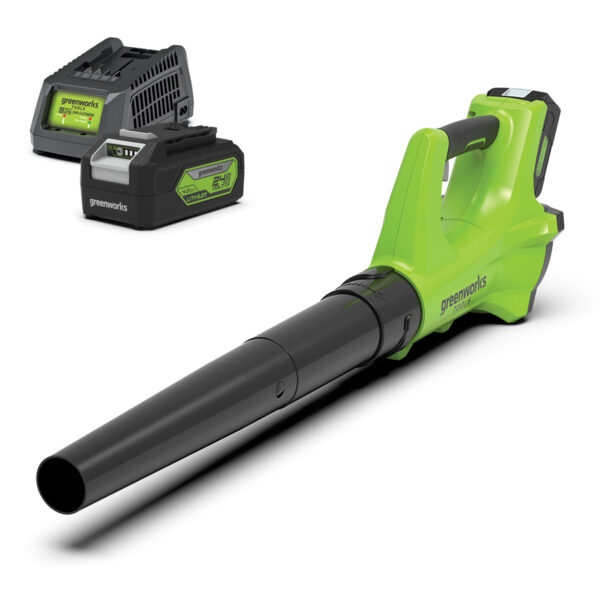 Greenworks 24V Axial Leaf Blower