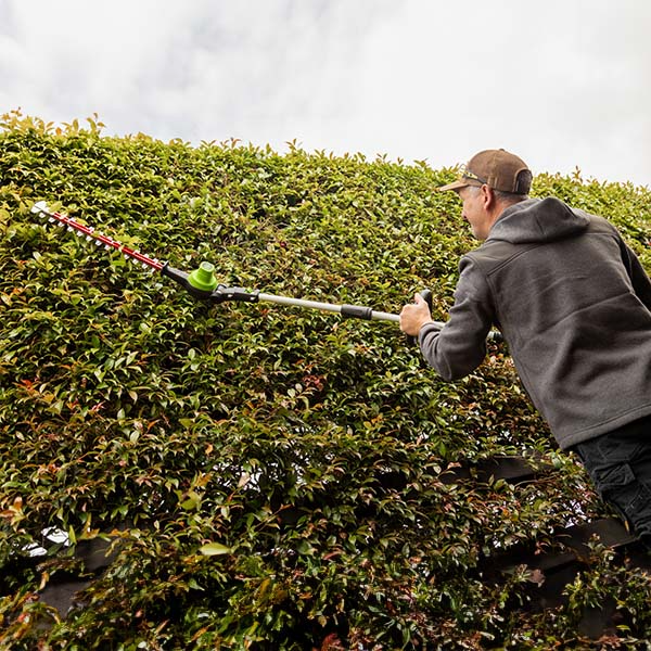 Greenworks 60V Brushless Pole Hedge Trimmer